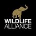 Wildlife Alliance (@WildlifeRescue) Twitter profile photo