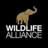 WildlifeRescue's profile picture. Direct protection to #Forests and #Wildlife in Cambodia.
#JoinTheAlliance