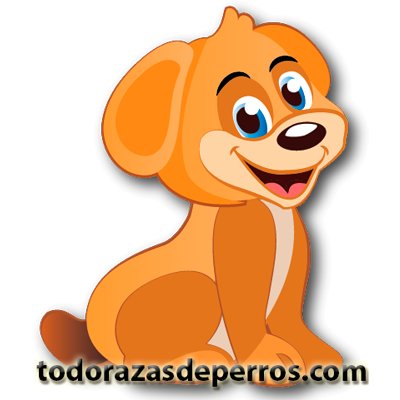 https://t.co/cdu8wrMBYd…
🐾🐕🐈🐩🐾
¡Déjanos tus sugerencias!
buzon@todorazasdeperros.com