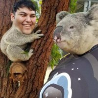 Antelope (@ant_hs) 's Twitter Profile Photo Antelope (@ant_hs) 's Twitter Profile Photo
