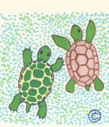 shellyturtle's profile picture. Interesting turtle facts! Save the turtles! No to plastic bags!