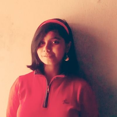 Actively looking for opportunities in the domains of Data and ML, dm for freelance | SWE Fellow @HeadstarterAI | IIT M BS DS '26 | NSEC CSE '26
