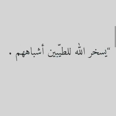 Tama_199's profile picture. الحب يبقى|