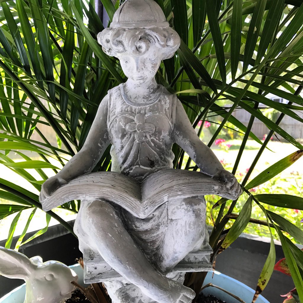 genus_biblio's profile picture. Reader. Dreamer. Occasionally germane.