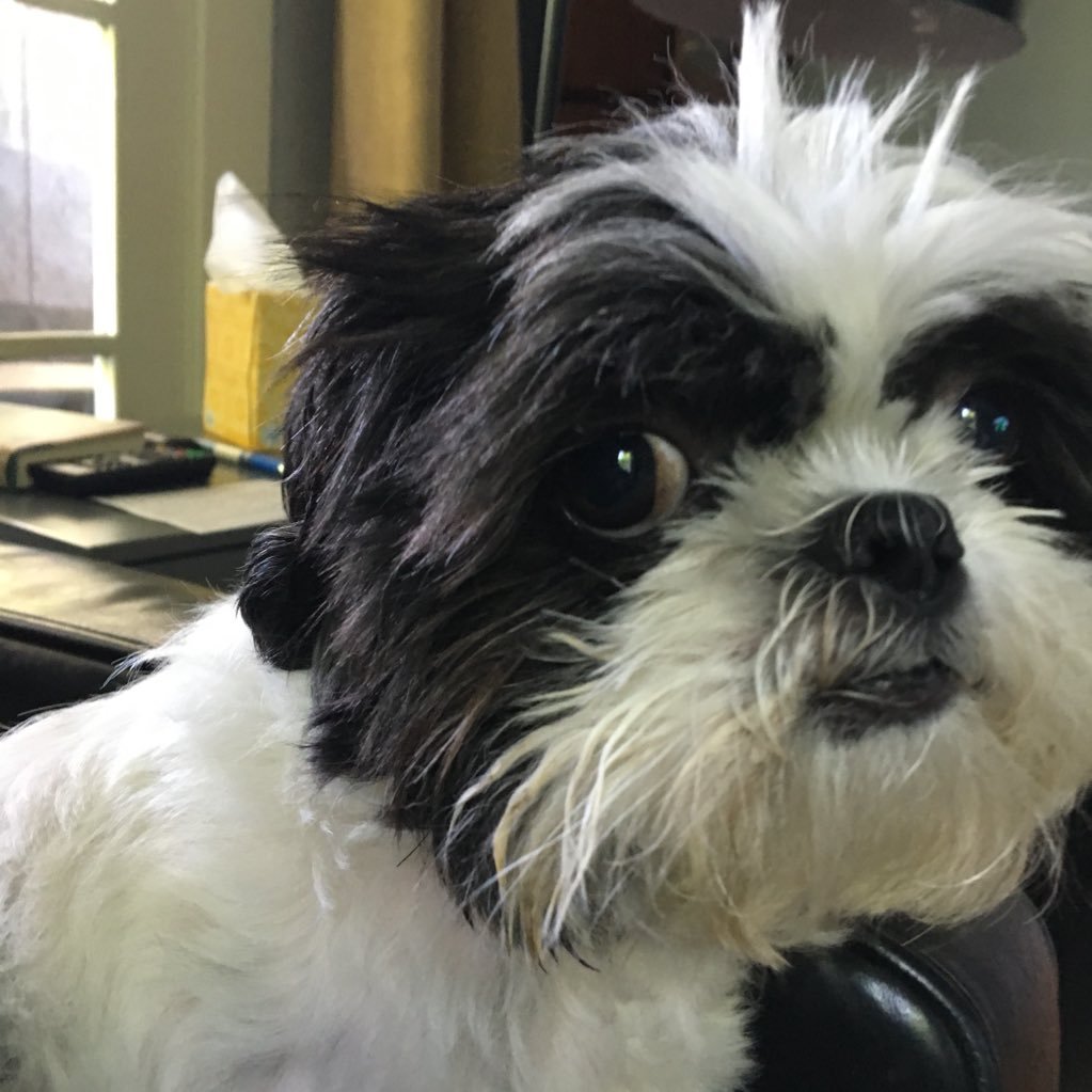 BBrown128's profile picture. 