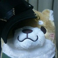 つっきー💍🦋 (@tukki_cas) 's Twitter Profile