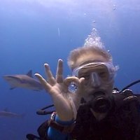 pkarp24 (@pkarp24) 's Twitter Profile