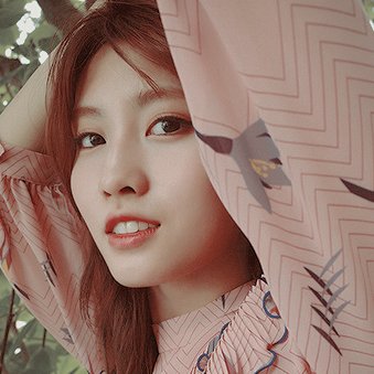 ✧˖*°࿐daily gifs of #트와이스 ღ