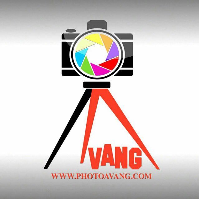 studioavang Profile Picture