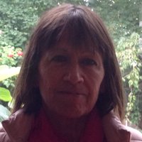 Cllr Liz Dixon (@lizdixon_brent) 's Twitter Profile