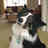 LandyDef90's profile image