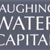Laughing Water Capital (@laughingh20cap) Twitter profile photo Laughing Water Capital (@laughingh20cap) Twitter profile photo