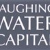 Laughing Water Capital (@LaughingH20Cap) Twitter profile photo