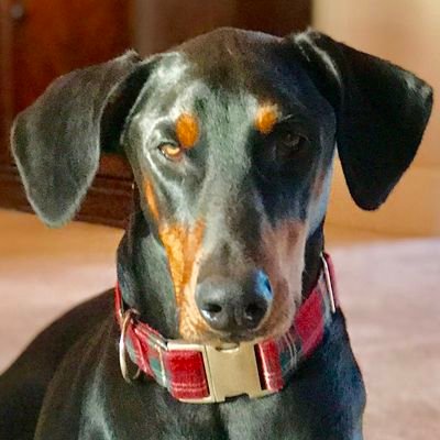 Dobie, political insider. ALPHA. Legends are made over tennis balls in the backyard. There's no Electoral College where I come from.