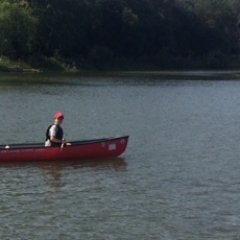 JosefEHiller's profile picture. Student at Glenbrook South High School who is passionate in the STEM fields.