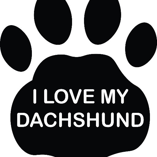 RKantelis's profile picture. I love Dachshunds!