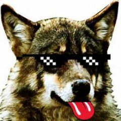 W0lf_Sh0t's profile picture. 