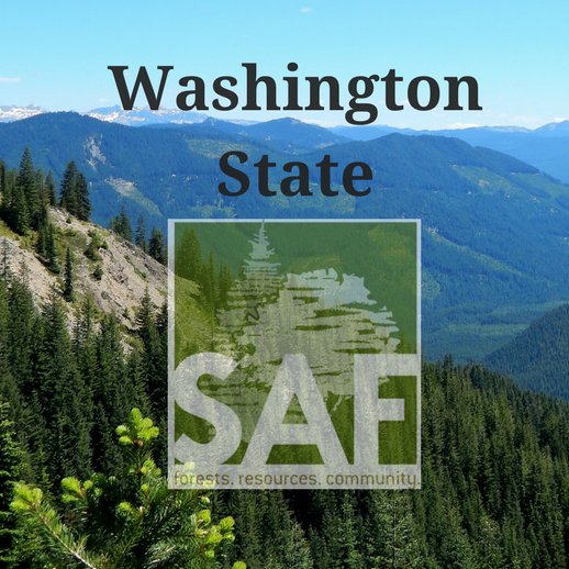 WA's 22 million acres of forest land provide a variety of benefits for Washingtonians & the nation in wildlife, water & recreation.