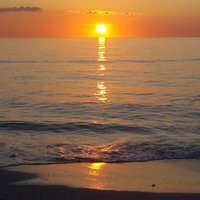 Sara Walton (@sarawalton5) 's Twitter Profile Photo