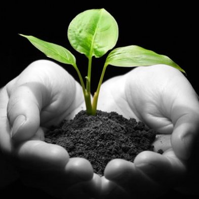 EcoEnvolution's profile picture. A youngin' just looking to learn more about the world and how to improve it.