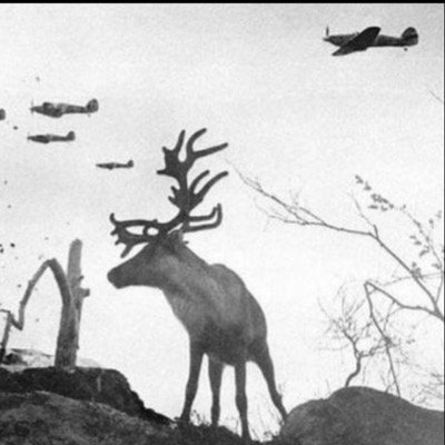 LightlyEsteemed's profile picture. 