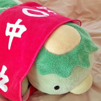 銀ちゃん(別名：うさ)さんのプロフィール画像
