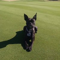 Jake Payne (@9holesuper) 's Twitter Profile