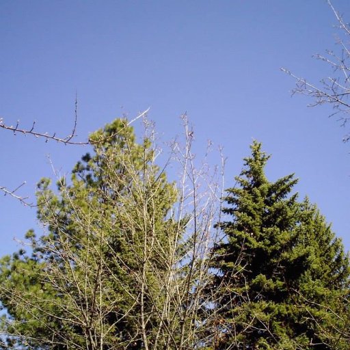 alanwittenberg3's profile picture. Ancient magico-religious Tradition for today.     Paleoconservative.     Paleolibertarian.  https://t.co/Gg6kDRrXiz