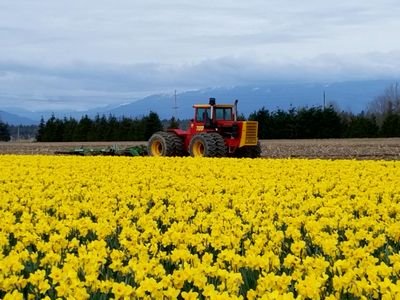 Telling the story of agriculture in Skagit County, Washington.