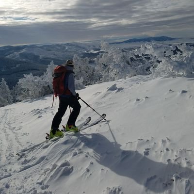 MajerusNoah's profile picture. 