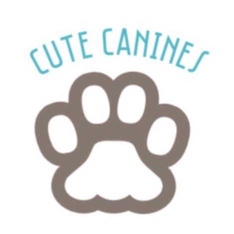 Page dedicated to Cute Canines. DM for submissions🐾