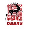 DredgingHoses's profile picture. Nanjing Deers is a leading manufacturer and supplier of high performance rubber products, such as rubber fender and dredging rubber hoses