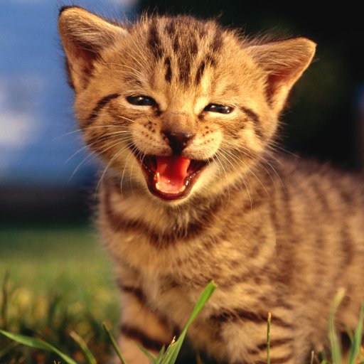 ErwinSWJP's profile picture. 