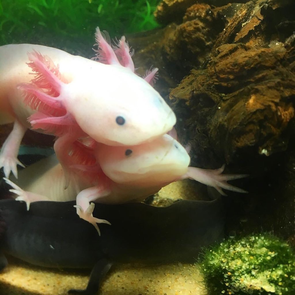 maitythor0604's profile picture. 