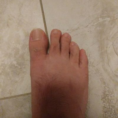 Profile Picture of Robert Van Alphen (@alphen_robert) on Twitter