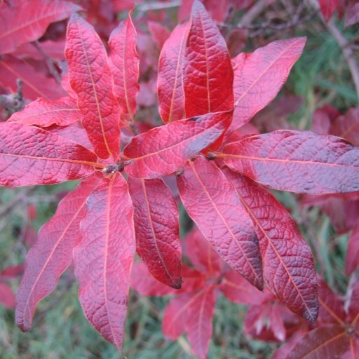 cameronmvd's profile picture. 