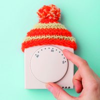 Cosy Kingdom (@cosykingdom) 's Twitter Profile