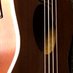 Tiny Uke Orchestra (@tinyuke) Twitter profile photo Tiny Uke Orchestra (@tinyuke) Twitter profile photo