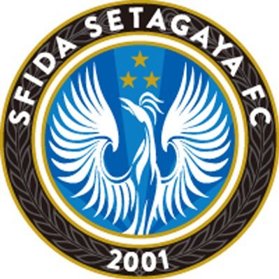 sfidafc Profile Picture