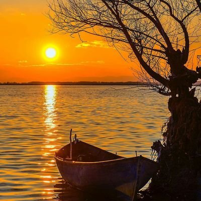 hGUS4lGMo99dgk3's profile picture. رباه نؤمن بالقضا 
لكننا
 من غير لطفك يالطيف سنهلك