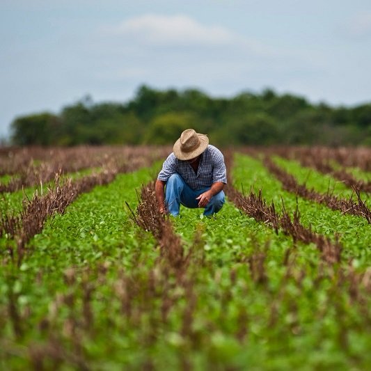 Esta es una cuenta que defiende los intereses de los agricultores.