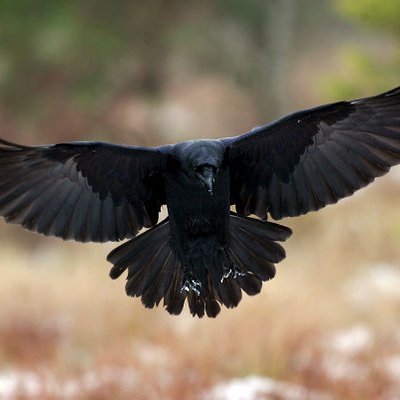 oavoron's profile picture. “Прагніть не до успіху, а до цінностей, які він дає”, – Альберт Айнштайн