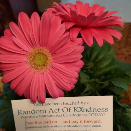 RAKDayNiagara's profile picture. 