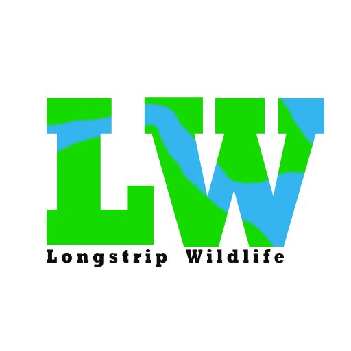 LongstripW's profile picture. #theenvironmentnow project.
Creating an app for long strip woodlands to educate and help pinpoint wildlife, nature and problems in the area.