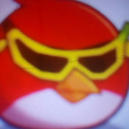 ilja2012ru's profile picture. По прозвищу "Ред".А всё,потому что у меня такой же характер,как у одного из персонажей серии игр про злых птичек.