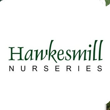 Hawkesmill Nurseries is a family run company with over 40 years experience in growing and supplying quality plants to garden centres, nurseries & landscapers.