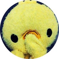 ใฏใใชใฐ (@haru_naba) 's Twitter Profile Photo ใฏใใชใฐ (@haru_naba) 's Twitter Profile Photo