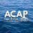 ACAPCB's profile image