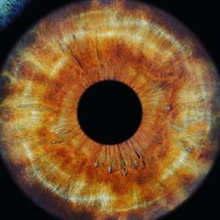 seanoptom69's profile picture. 