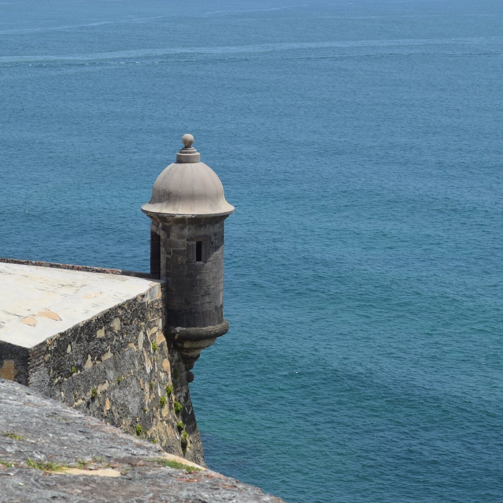 wfeshold's profile picture. Prof. de Historia, Consultor Educativo W & Y, Creador de Huertos escolares, comunitarios y caseros.